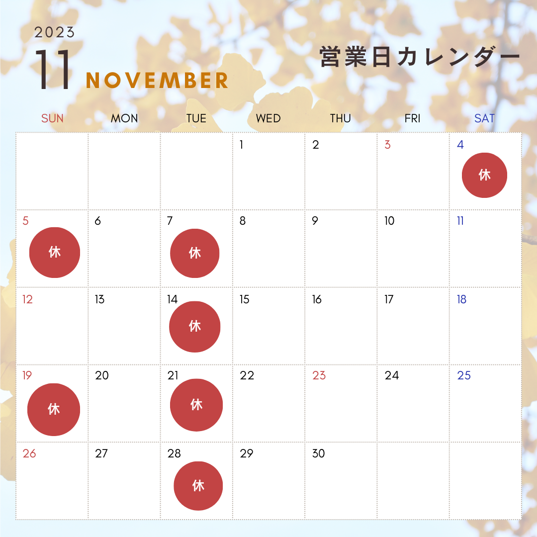 １１月のカレンダー【名張メンズ脱毛、ＶＩＯ脱毛、メンズエステ】